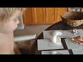 Click here to watch this video Matching Shells to Cards-Montessori Activity.AVI