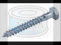 tuna