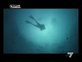i misteri e le bellezze delle galapagos
