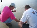 Kiawah Turtle Patrol