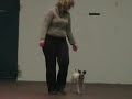 Dogdancing Tina and Sheela