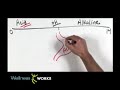 It's really quite simple - the *Standard American Diet* (SAD) is responsible for most diseases. Simply put, we are eating ourselves into poor health, chronic disease and early death. It just a few minutes, this clip will put everything into perspective. A few changes to your diet can mean the difference between health or sickness and even life or death. This is not what the mainstream media / corporate controlled government health system will discuss. Why you ask? Well, as usual ----- follow the money. We are far more profitable sick. They cannot profit on healthy or dead people. Every industry involved with health care, those big businesses, research and development, cancer for example, that keep taking your donations to find a cure which never comes. Big Pharma and their pill or serum for everything. The Cause of Disease www.naturalhealthschool.com Alkaline Sisters Food Chart www.alkalinesisters.com Acid Alkaline Food Chart www.balance-ph-diet.com A list of Acid / Alkaline Forming Foods www.rense.com PH Miracle Living www.phmiracleliving.com PH WATER TESTING RESULTS ** First Test ** Tap water PH was 7.26 Bottle water PH was 6.67 Distilled water PH was 6.76 ** Second Test ** 1/2 teaspoon of Sodium bicarbonate (baking soda) was added into each sample of water. Tap water PH went from 7.26 to 8.32. (Alkaline) Bottle water PH went from 6.67 to 8.30 (Alkaline) Distilled water PH went from 6.76 to 8.37 (Alkaline) So by adding an alkaline bases solution sodium bicarbonate in <b>...</b>