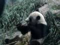 videos de MOV07373.MPG