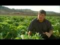 Water shortage threatens Malta - 17 Nov 08