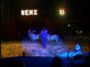 circus renz in Haaksbergen circus renz in Haaksbergen