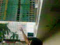 SEGi CNN.3gp SEGi CNN.3gp