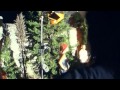 Ver Video
