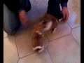 Pepito e fratelli a 34 gg