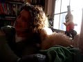 buster the teacup cockapoo loves curly hair buster the teacup cockapoo loves curly hair