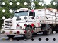 Carretas - Minha paixão é a estrada Carretas - Minha paixão é a estrada