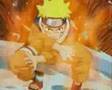 Fallen Leaves from Konoha