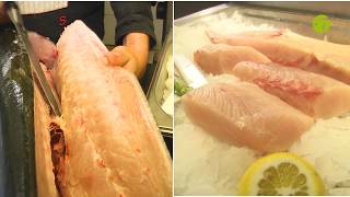 Wie filetiert man Hamachi (Gelbschwanzmakrele)? Profi-Anleitung von Chefkoch Johannes Seidl
