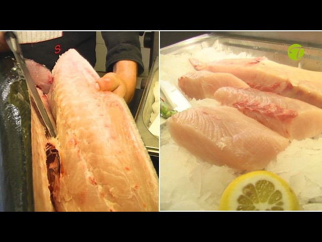 Wie filetiert man Hamachi (Gelbschwanzmakrele)? Profi-Anleitung von Chefkoch Johannes Seidl Wie filetiert man Hamachi (Gelbschwanzmakrele)? Profi-Anleitung von Chefkoch Johannes Seidl