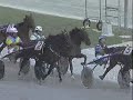 Aste Filly 2008 - LENA DI AZZURRA