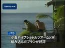 高騰する燃油サーチャージ この夏の海外旅行者17万人減