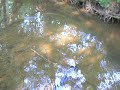 gold-prospecting-using-the-sucker-pump-for-gold-dredge-pump.html