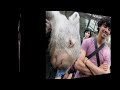 Feliz cumpleaños Joe Jonas ★20★ Happy Birthday Joe Jonas