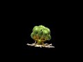  beard branches creatortip deku great nintendo ocarina oot roots tree zelda spore creature
