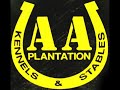 the charlie daniels band the south's gonna do it again video with quail hunting bird dogs setter boykin spaniel horses turkey deer hog hunting action in south carolina at aa plantation