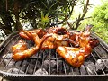 the charlie daniels band the south's gonna do it again video with quail hunting bird dogs setter boykin spaniel horses turkey deer hog hunting action in south carolina at aa plantation