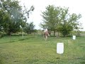 Comanche & me riding barback