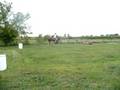 Comanche & me riding barback