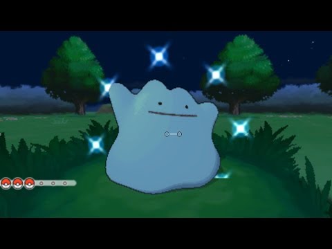 how to find ditto in pokemon x