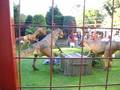 Combe Martin Wildlife & Dinosaur Park