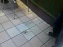 zoe playing with a teabag in mac donalds by danielle and zoe x