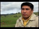 Werken Jose Llanquileo sale en libertad dominical