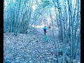 biking@henis biking@henis