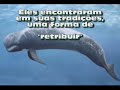 Ilhas Faroé, Fábrica de monstros. Ilhas Faroé, Fábrica de monstros.