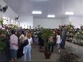 1ª MOSTRA DE ORQUÍDEAS DE PORTO FELIZ SP, REALIZADO EM UMA PARCERIA ENTRE A DIRETORIA DE MEIO AMBIENTE DE PORTO FELIZ E A ASSOCIAÇAO ORQUIDOFILA DE SALTO. E A FUTURA ASSOCIAÇÃO ORQIDOFILA DE PORTO FELIZ SP