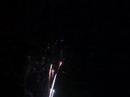 4th Of July at Lake Monkey Business 4th Of July at Lake Monkey Business