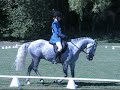 Dressage, xc and showjumping at various traing ODES 2007 season