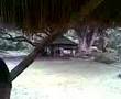 balsahan