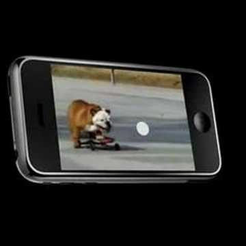 Imagen de previsualización de YouTube