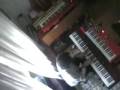 videos de ain't  necessariliy so_Solinas/Sassu keyboard duo.wmv