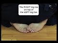 How to Sit in Seiza in Kendo How to Sit in Seiza in Kendo