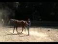 Circle game with flank rope