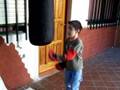 Pipi Boxeador