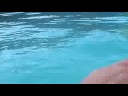 How to do the Breaststroke (Playing Around with the Sanyo Xacti VPC-E1)