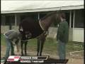 2009 Kentucky Derby Strengths and Weaknesses