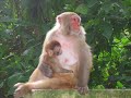 Kathmandu Valley - 2006 -...