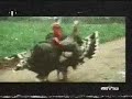 Franco Battiato - bandiera bianca