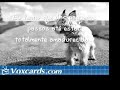 Voxcards - Ferdie - Big Girls Don\