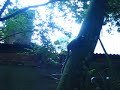 Macaquinhos