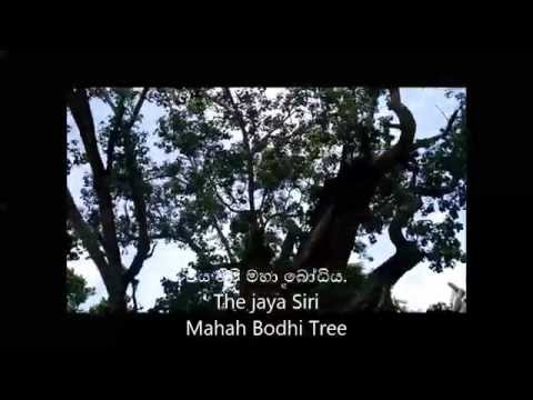 Diliup Gabadamudalige - Newfrontier Diliup Gabadamudalige - Newfrontier