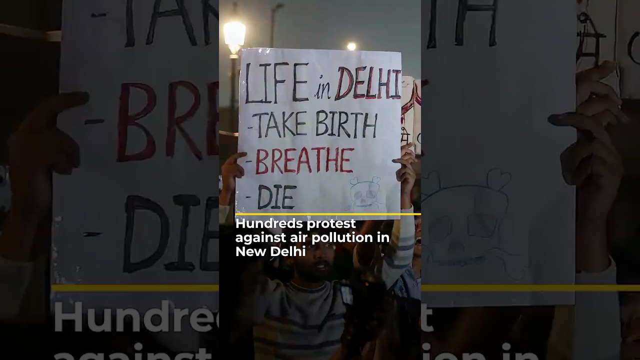 Hundreds protest against air pollution in New Delhi | AJ#shorts