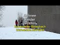 Winter in Bruchweiler-Bärenbach Dahner Felsenland Kids im Schnee carly s clips auf youtube